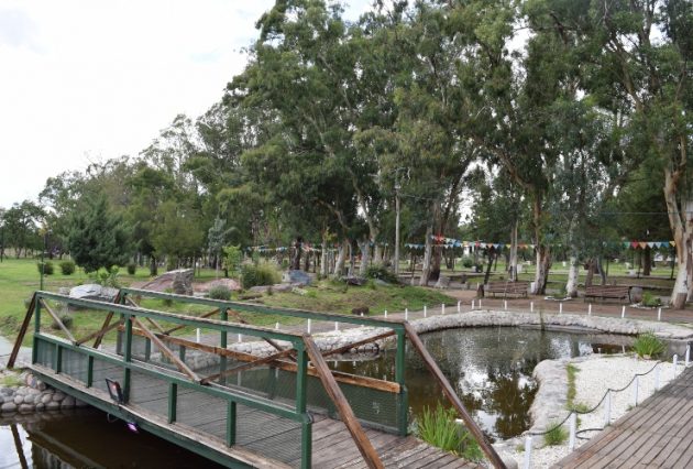 Estanque de peces